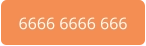 6666 6666 666