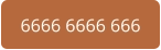 6666 6666 666