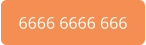 6666 6666 666