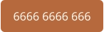 6666 6666 666